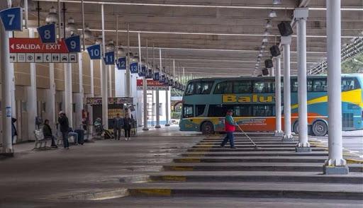 colectivo