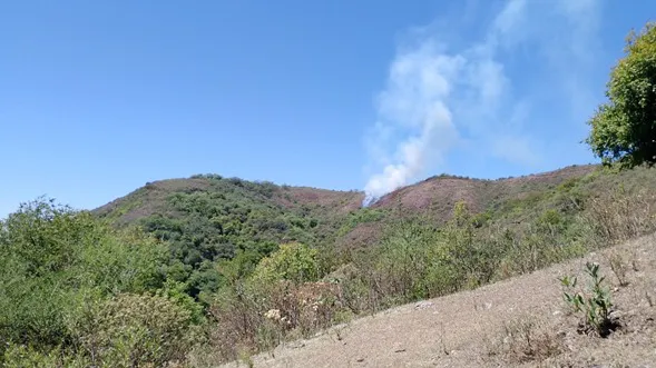 Incendio Elefante