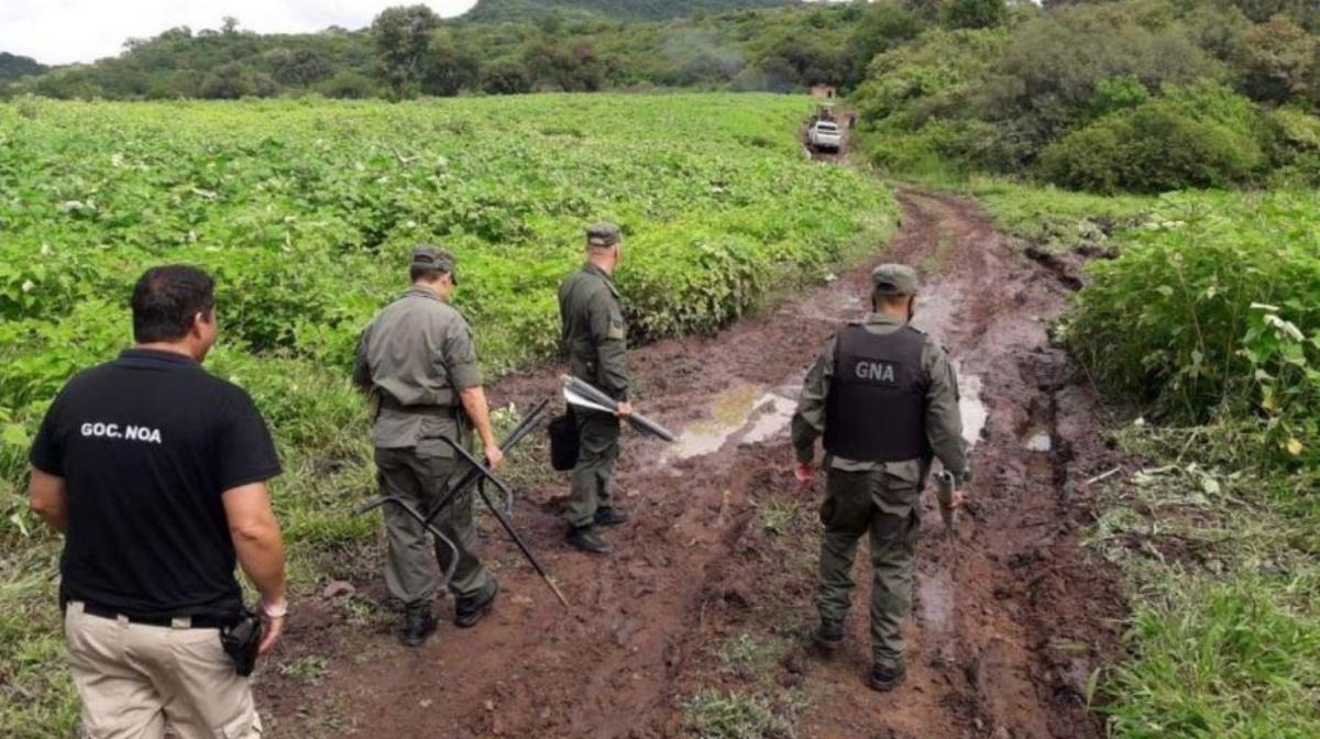Marihuana Gendarmería
