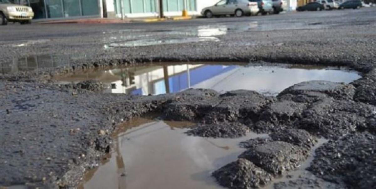 Bache