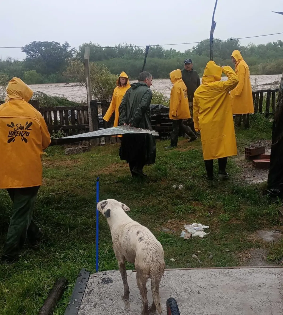 San Lorenzo - Río Arenales