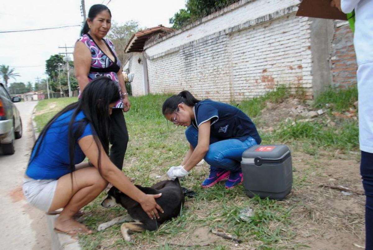 Vacunación rabia