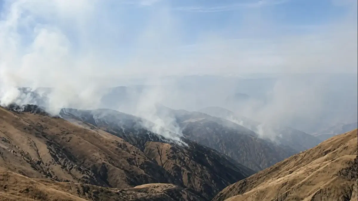 Incendio - Cerros