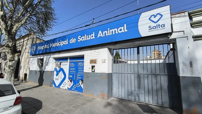 Hospital Salud Animal