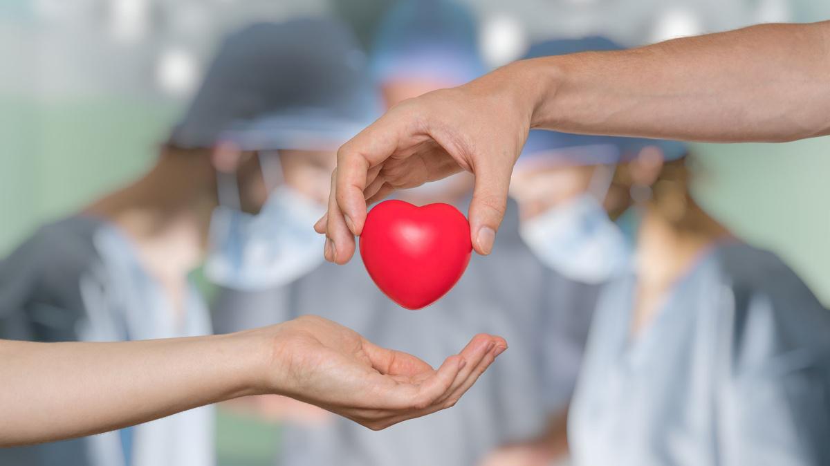 Donación de órganos