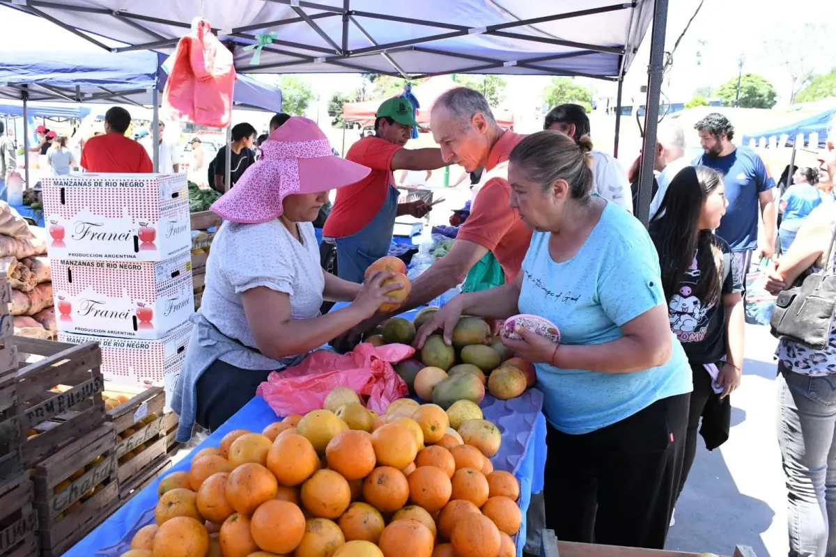 Mercado en tu Barrio