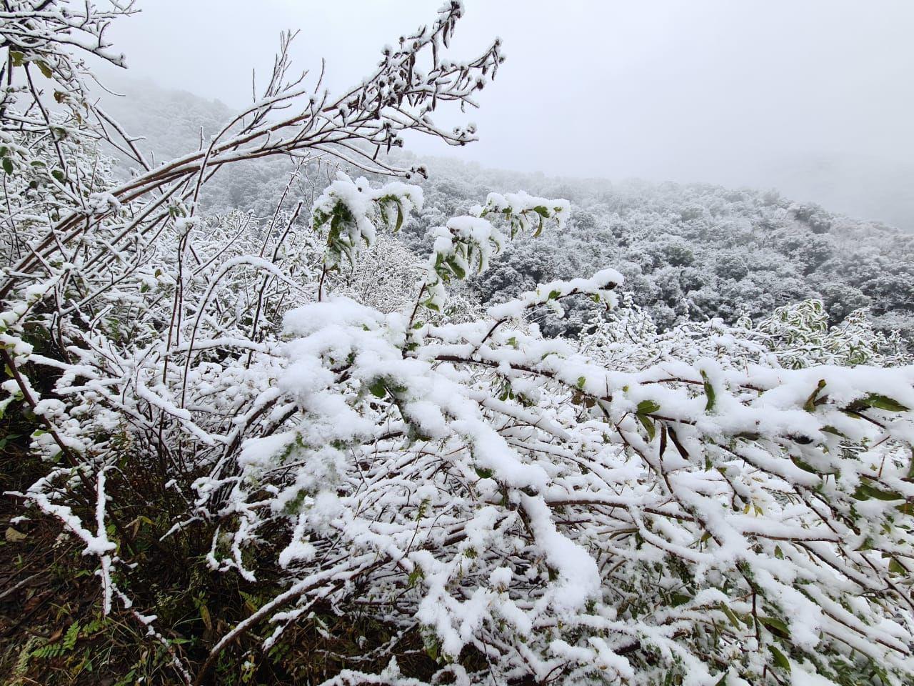 Nieve en Salta
