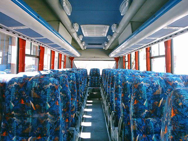 colectivo