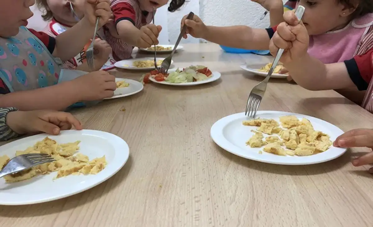 Alimentación - Recorte