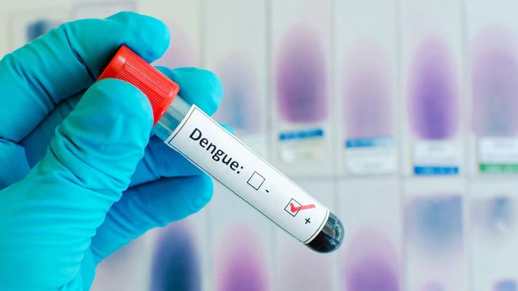 dengue