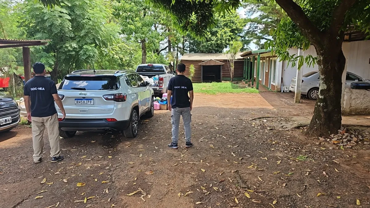 Cocaína 
