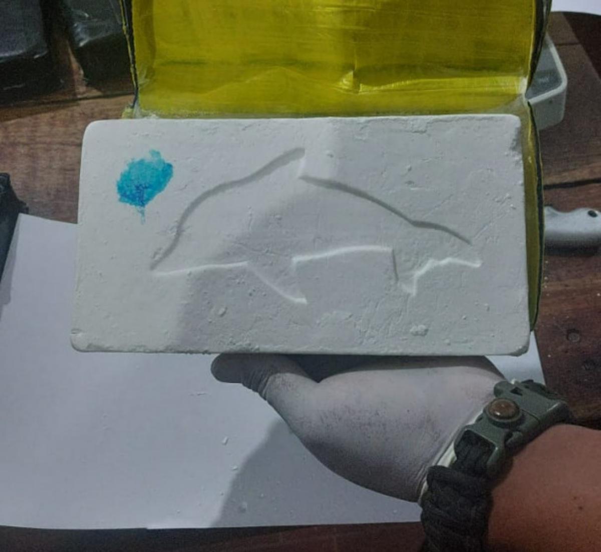 Cocaína Delfín