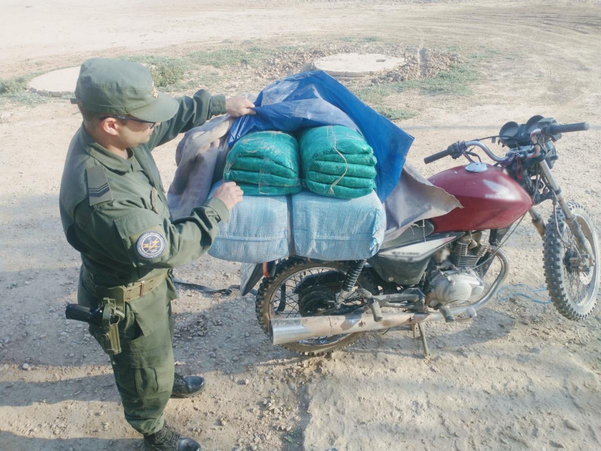 Hojas de coca moto