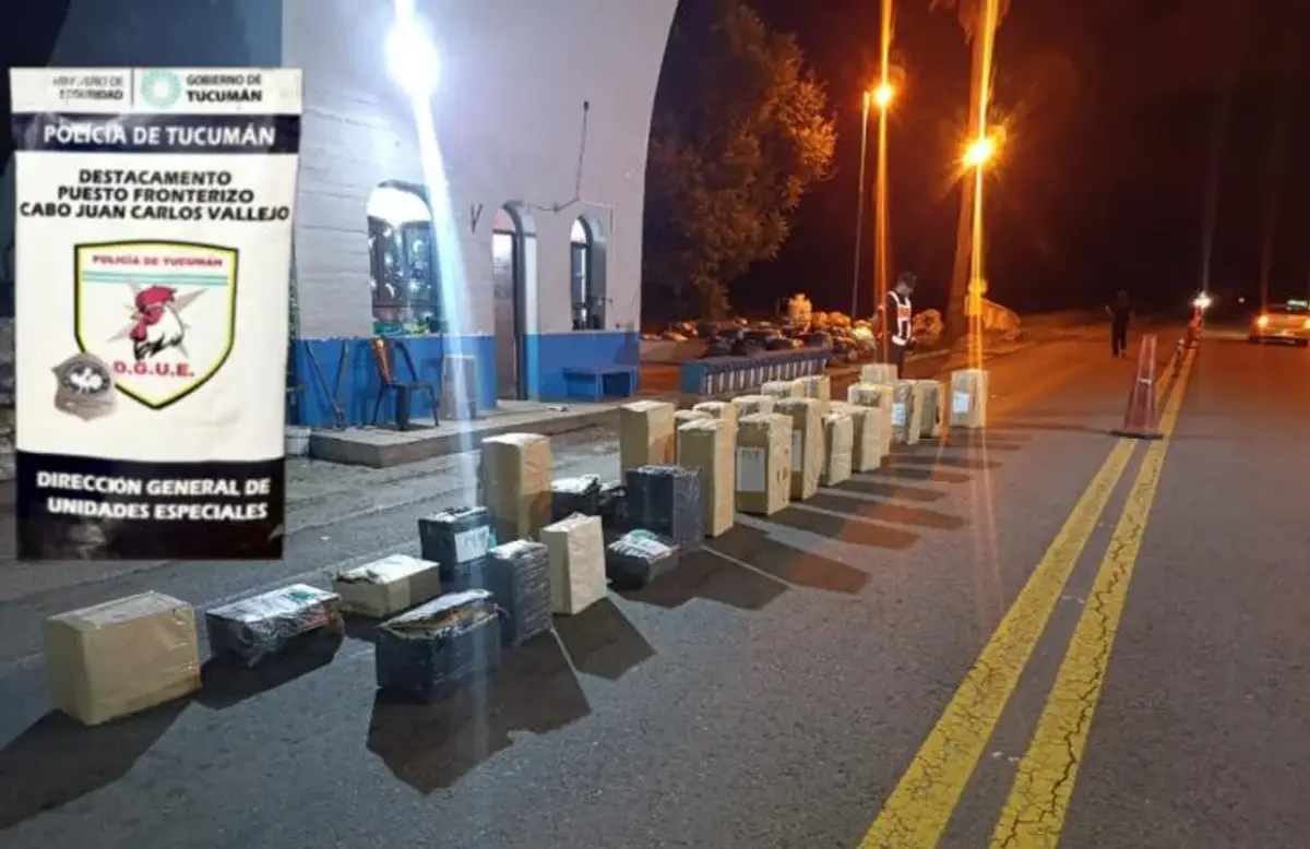 Hojas de Coca - Tucumán