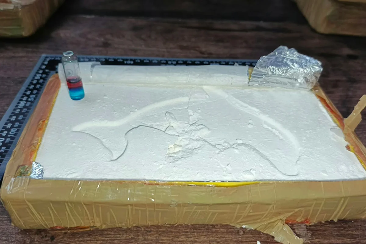 cocaína Delfín
