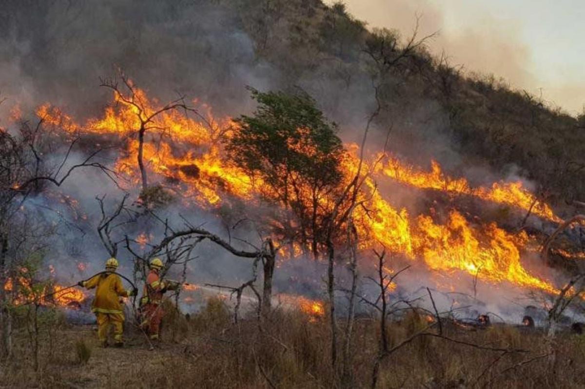 Incendios forestales