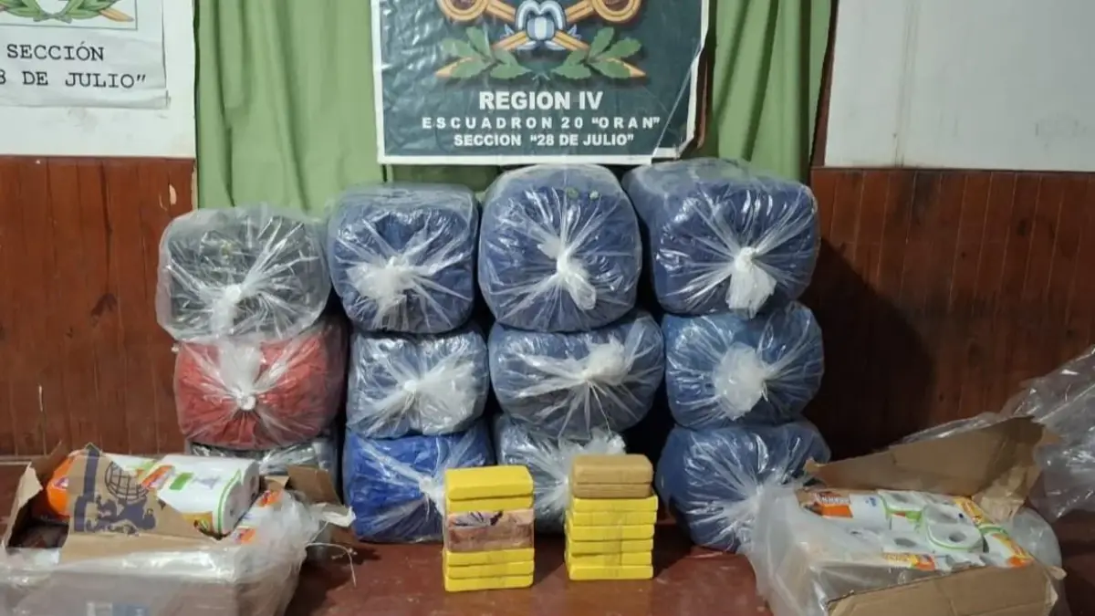 Hojas de coca y cocaína