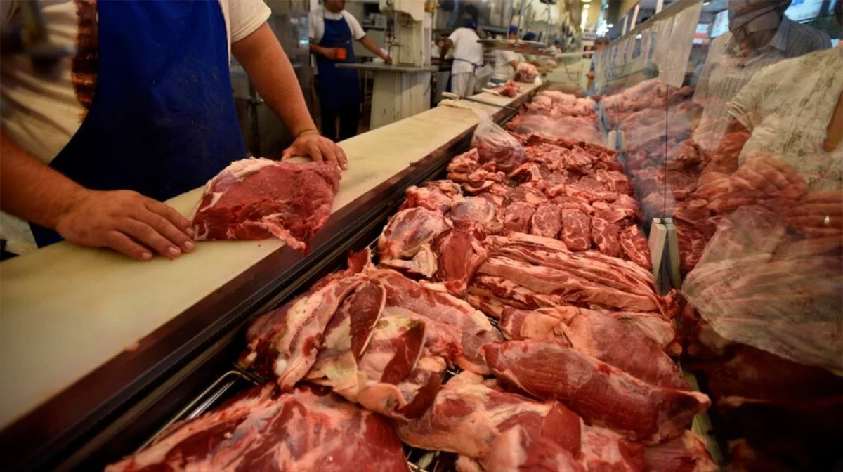 Carne