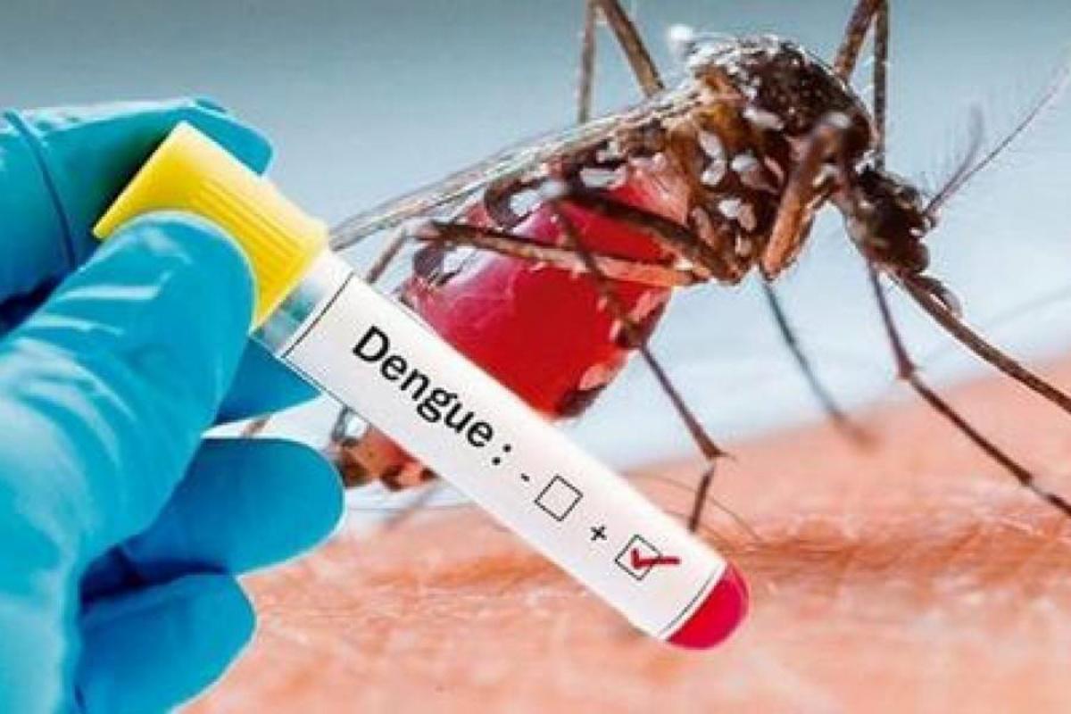 dengue