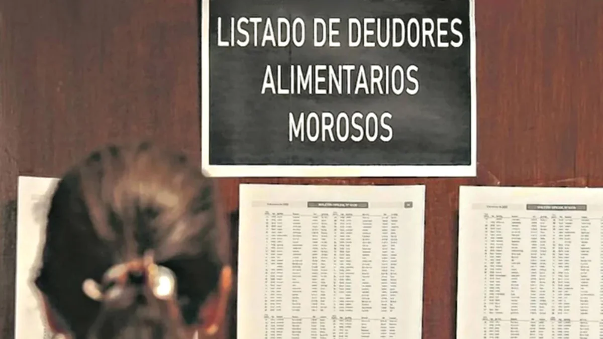 Deudores Alimentarios