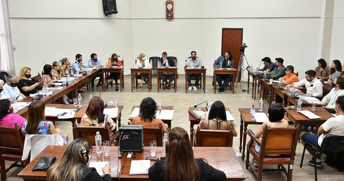 Plenario Concejo