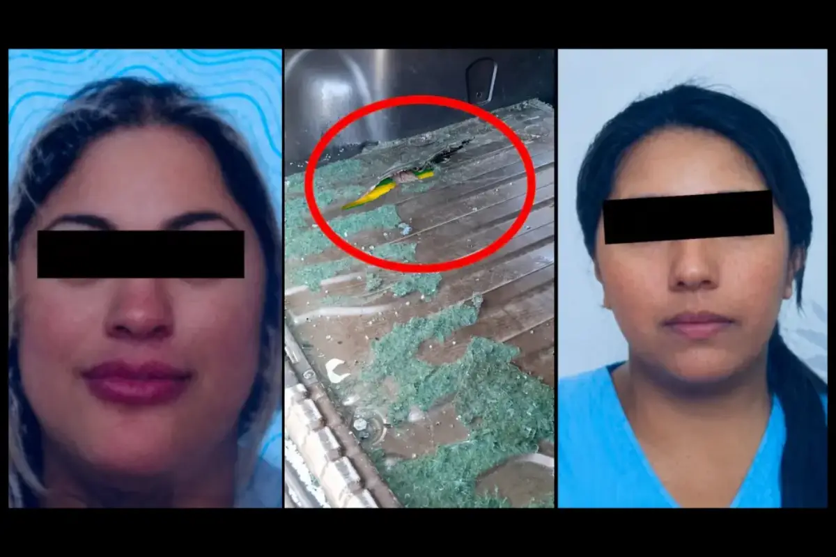 Médica Drogas Tartagal