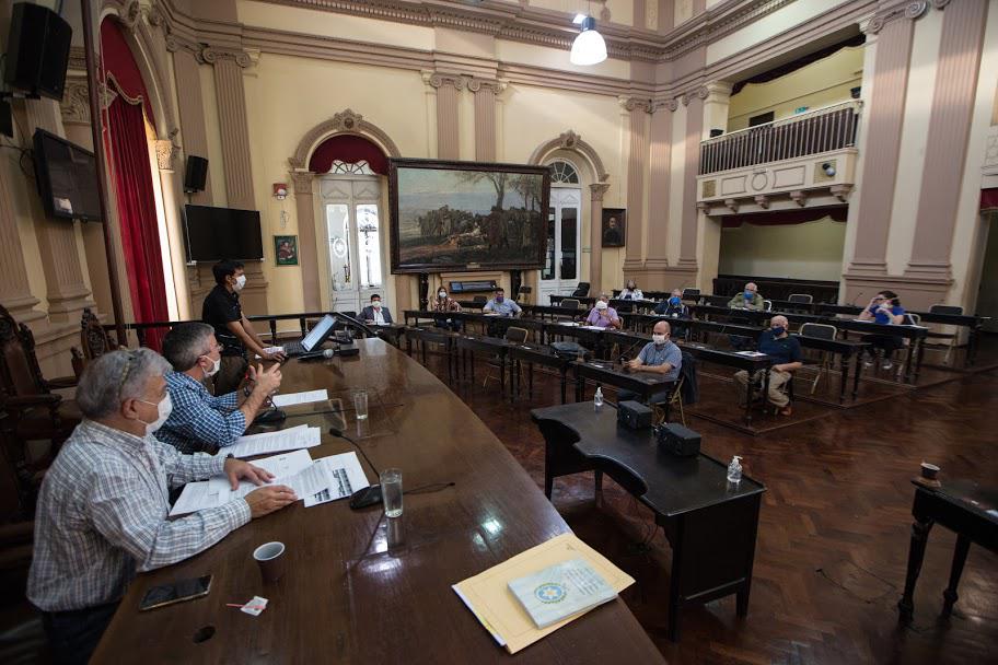 diputados