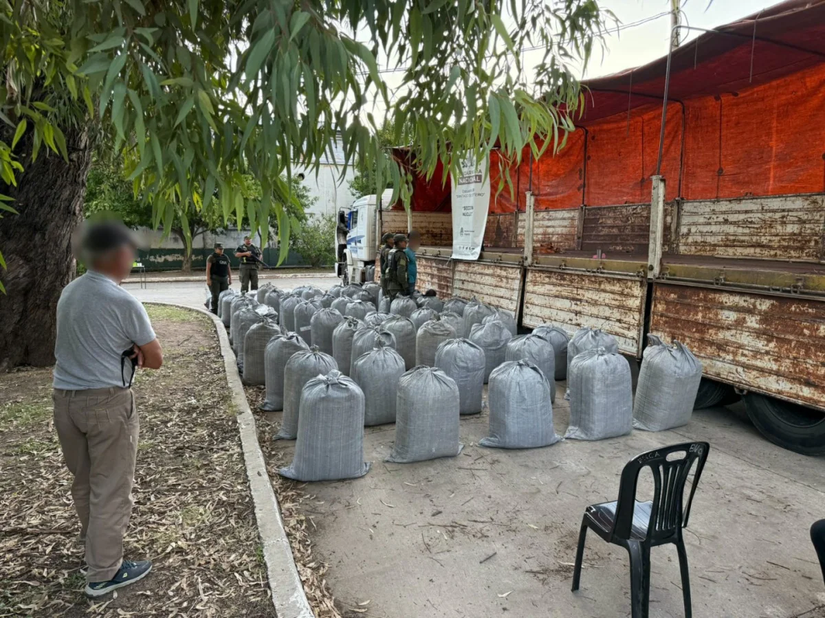 Hojas de Coca