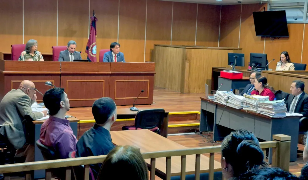 Saavedra - Jimena Salas