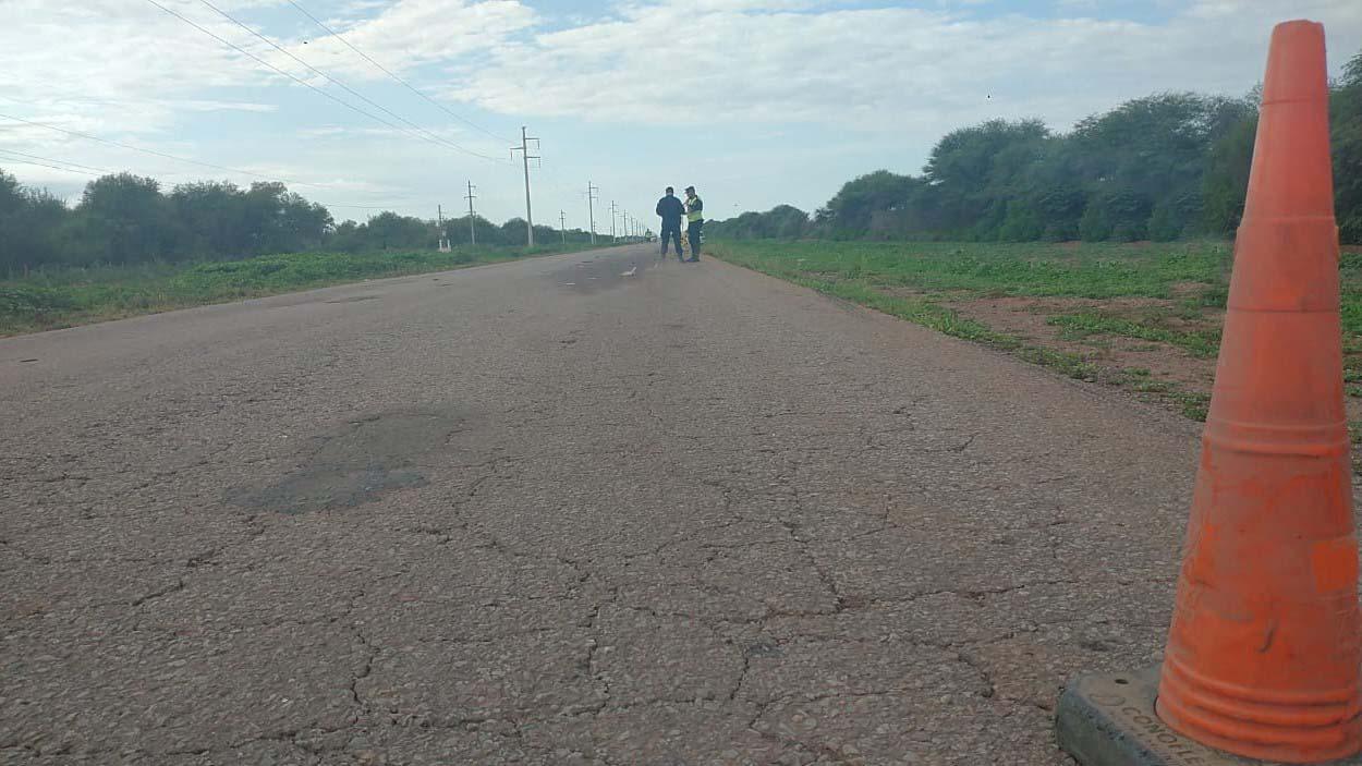 ruta 5