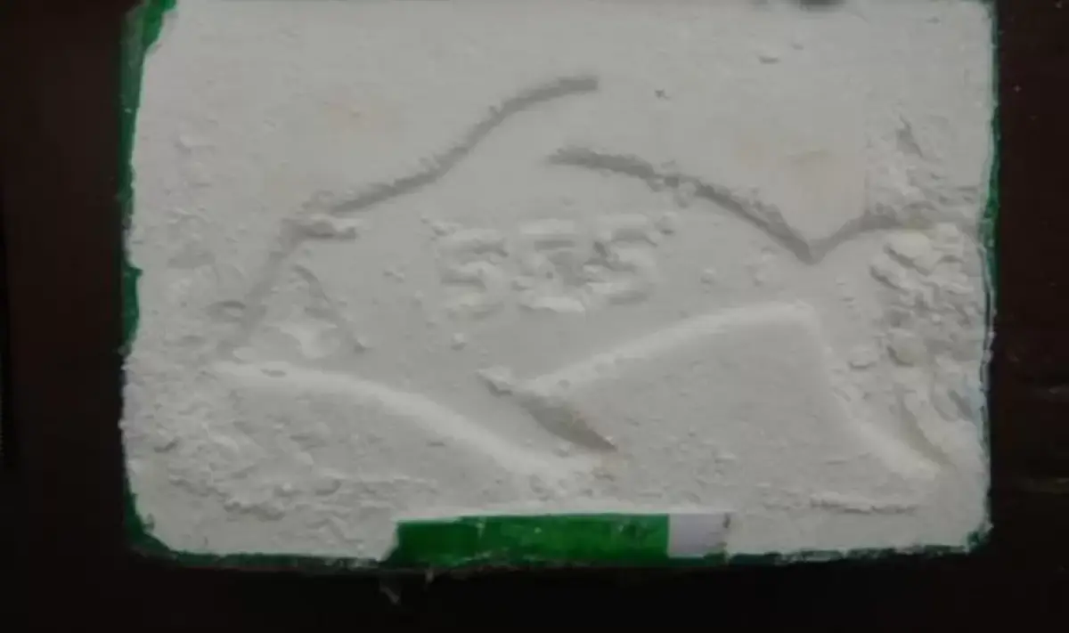 Droga Delfin