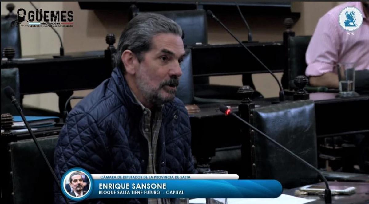 Diputado Sansone