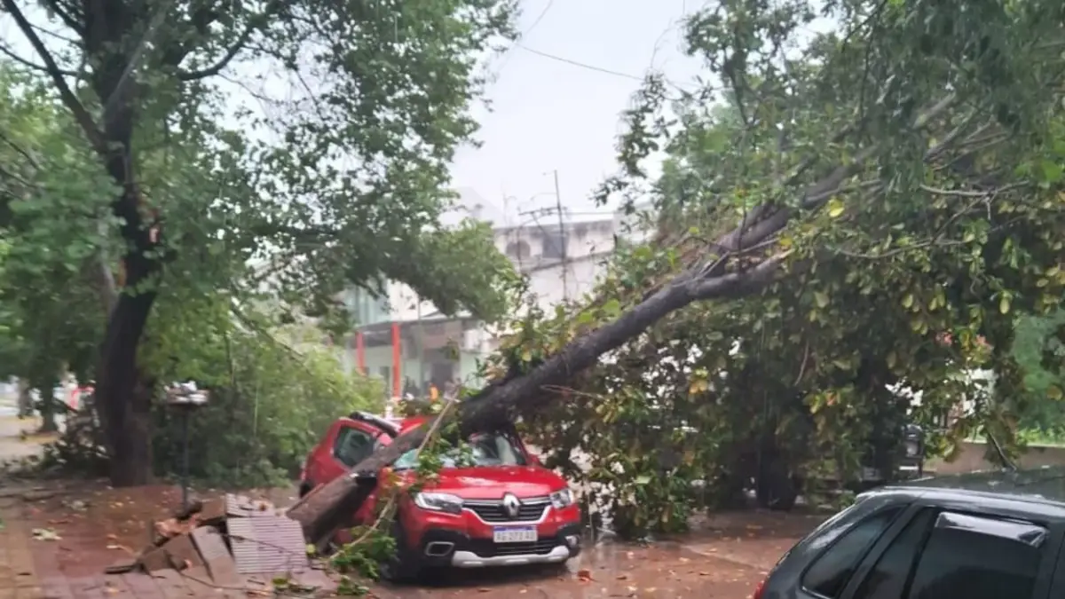 Auto Tormenta