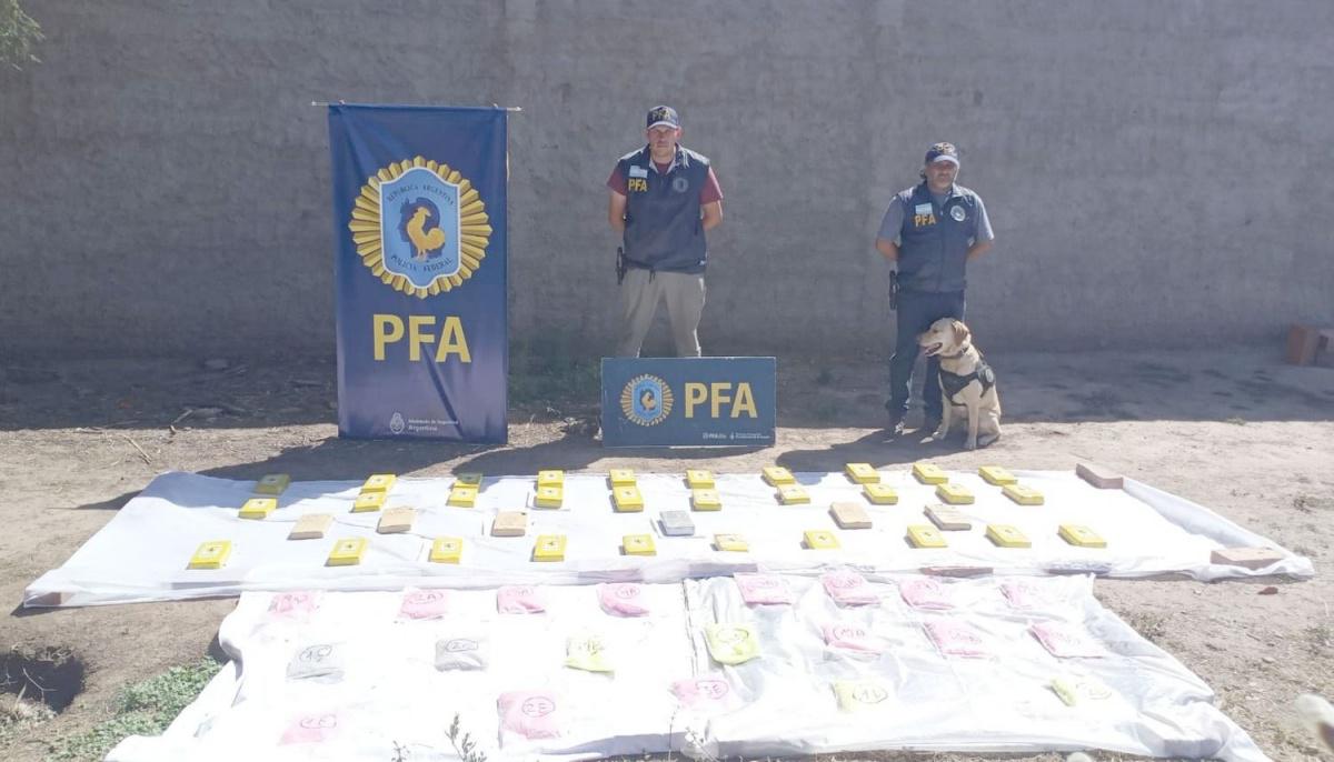 Drogas PFA