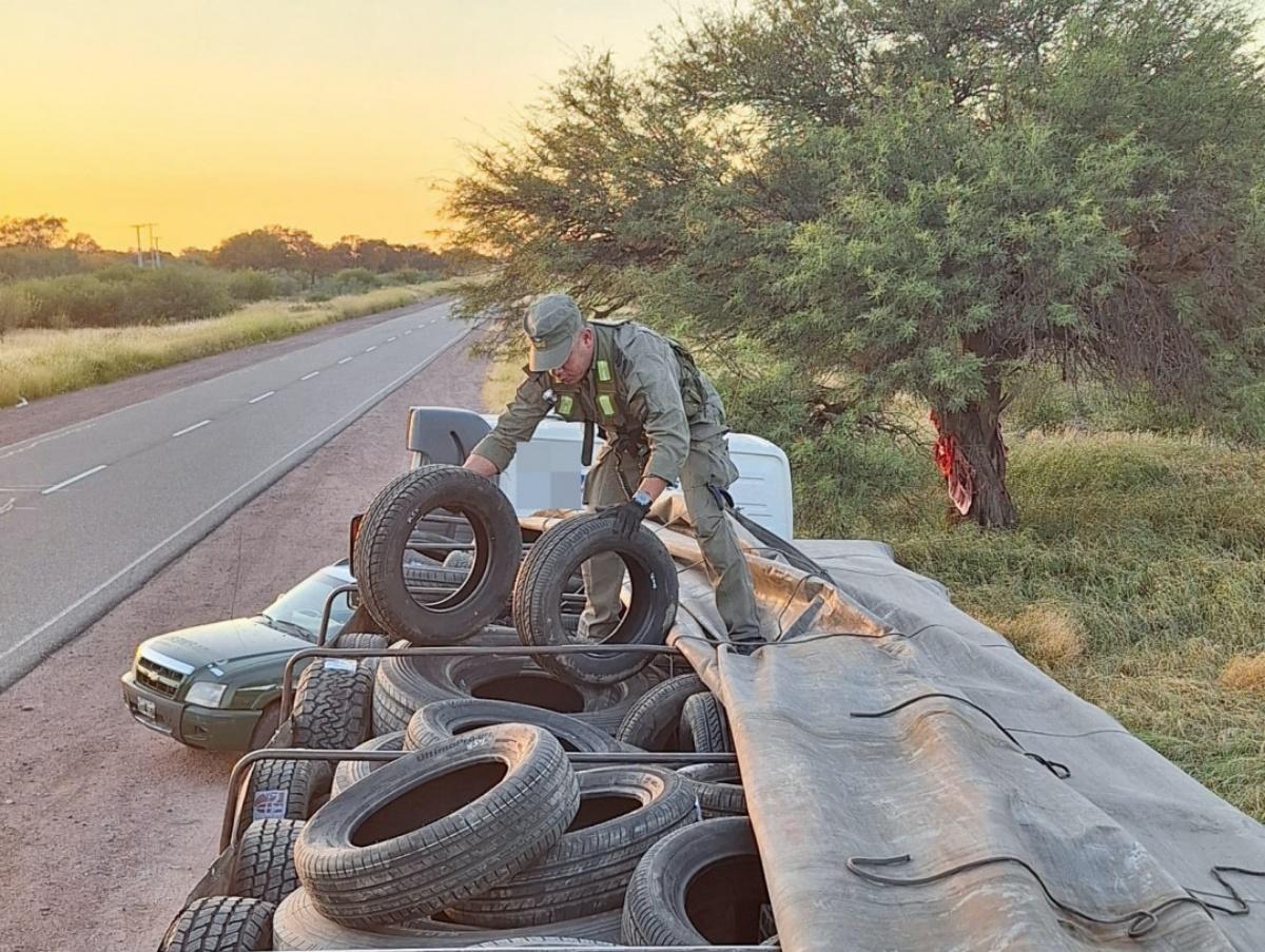 Gendarmería neumáticos