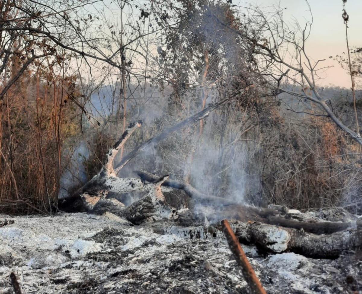 Incendio